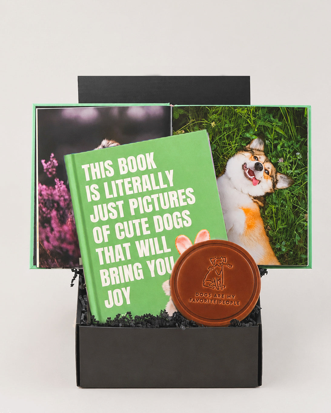 Gift box featuring a green dog photo book and a round brown leather coaster embossed with a dog illustration.