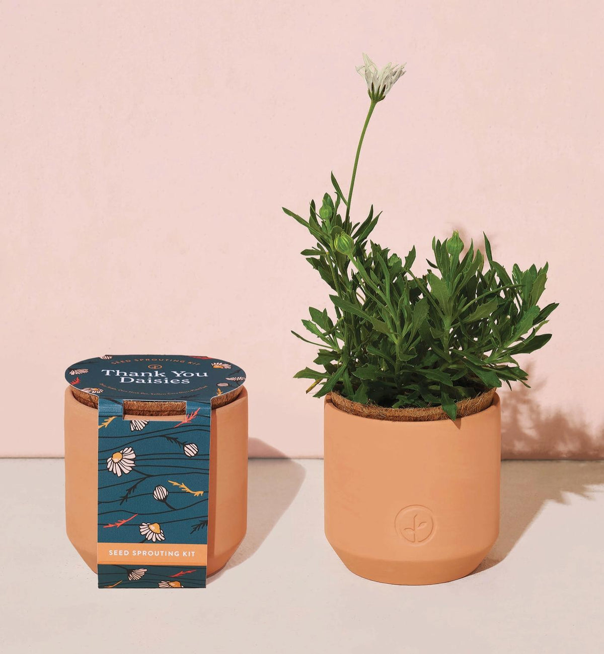 Ultimate Home Gift