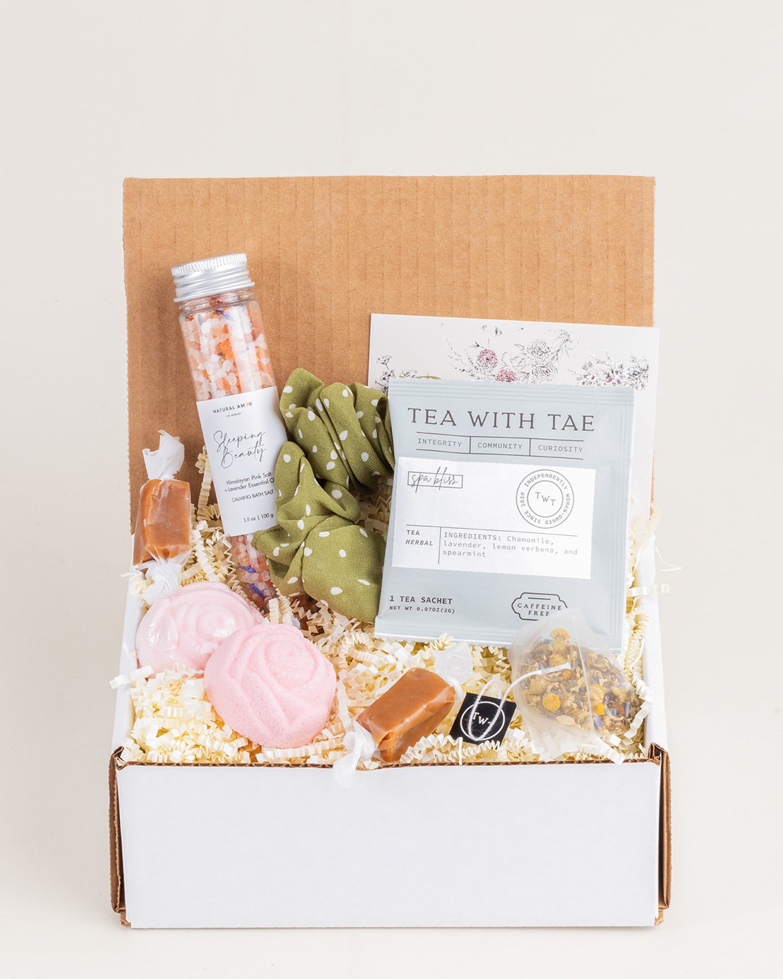 The School Nurse Society