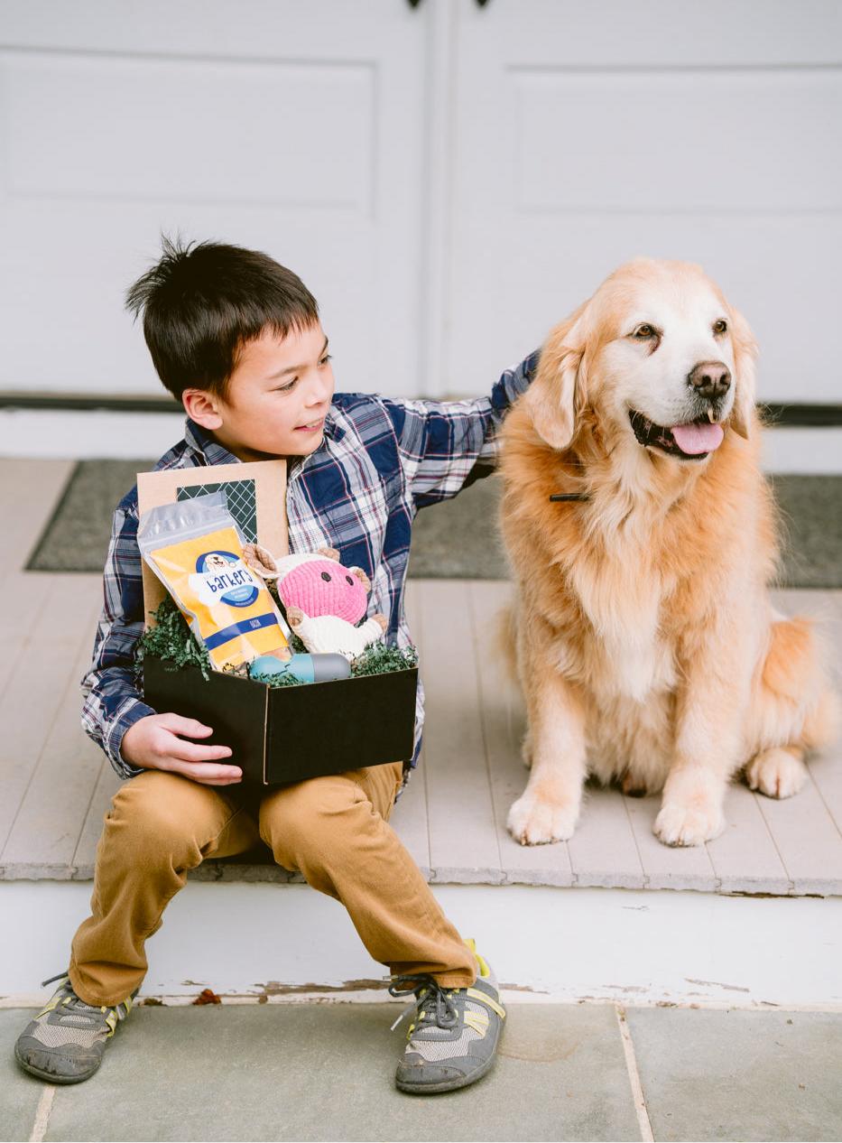 Fur-Ever Friend