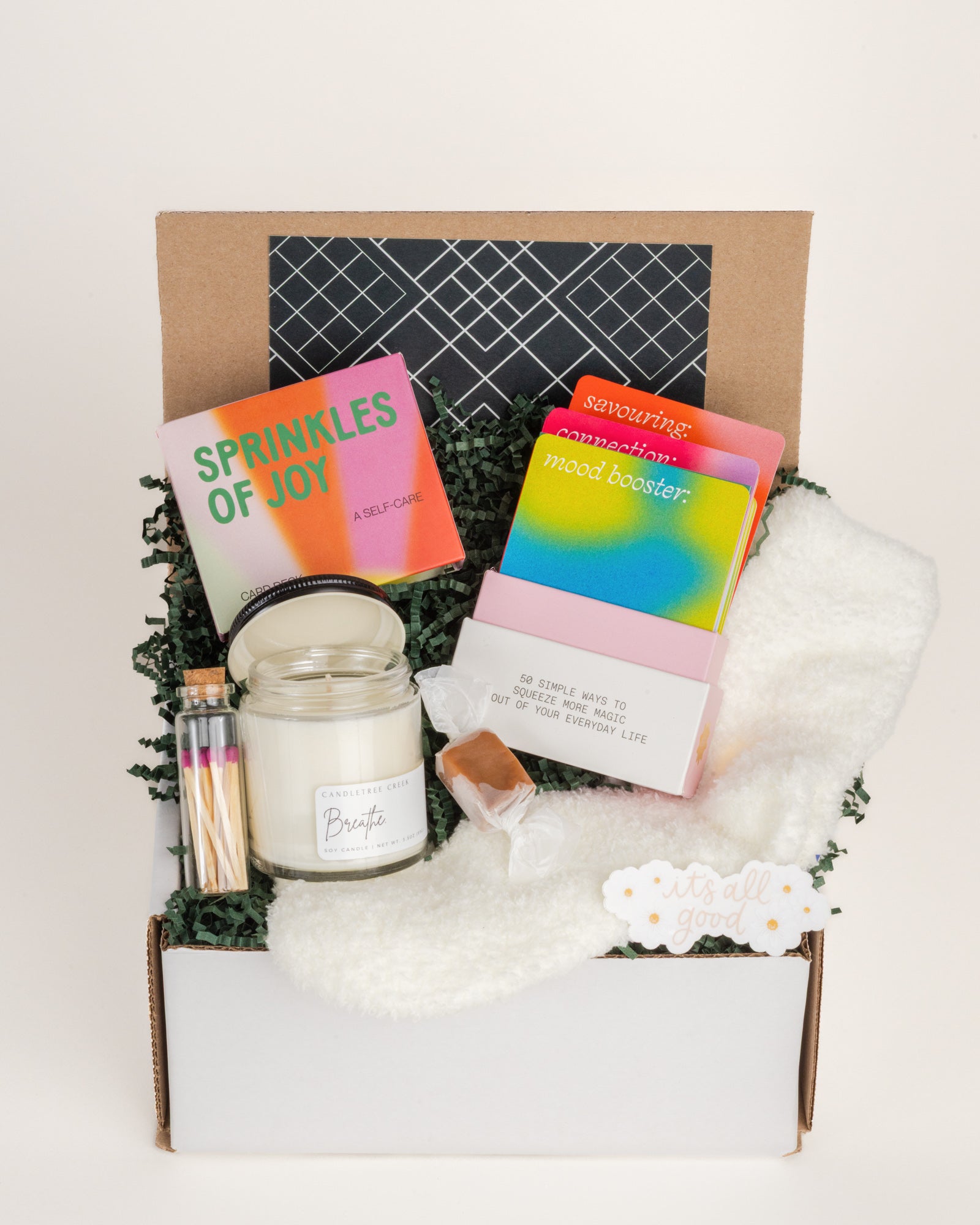 The School Nurse Society